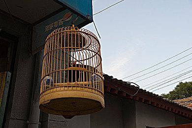 水墨画风休闲动作游戏《点睛》8月1日登陆Switch